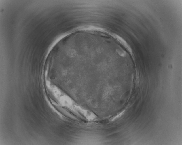 X0000082710863200702091746