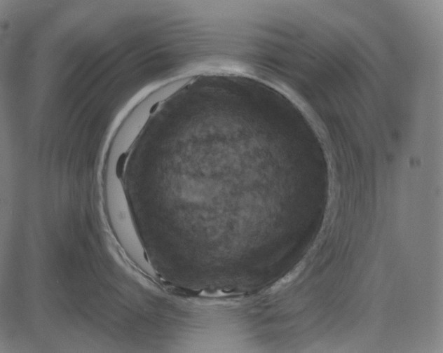 X0000082710864200702091746