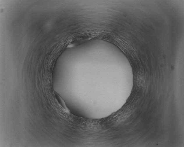 X0000082710865200702091745