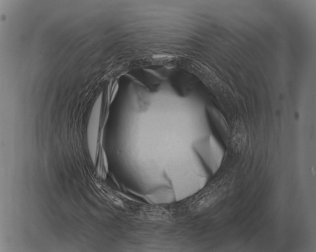 X0000082710866200702091745