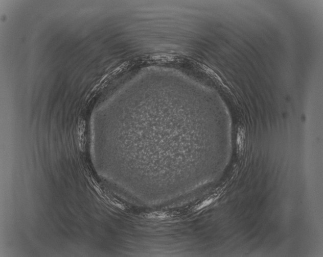 X0000082710867200702091745