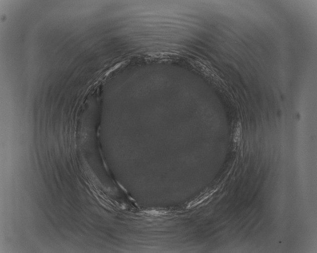 X0000082710868200702091745