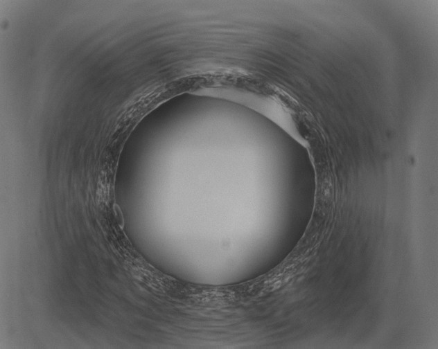 X0000082710869200702091745