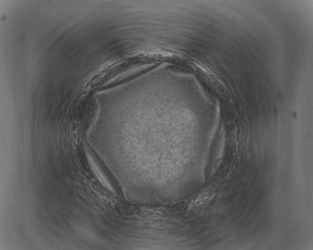 X0000082710870200702091745