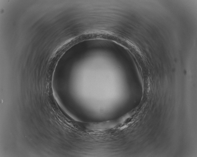 X0000082710872200702091745