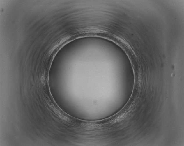 X0000082710873200702091745