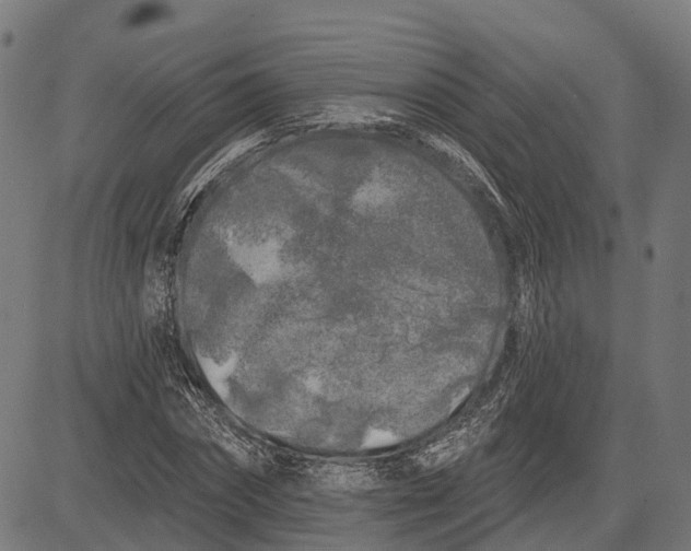 X0000082710874200702091745