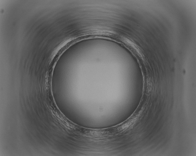 X0000082710875200702091745