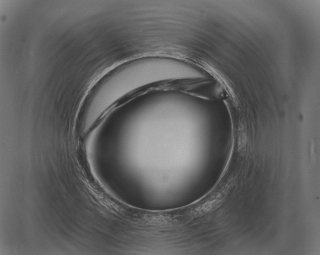 X0000082710876200702091745