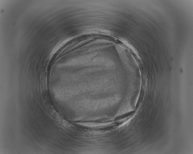 X0000082710877200702091745