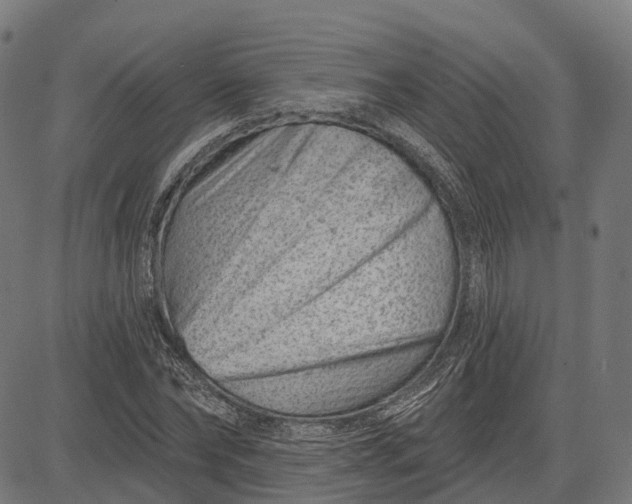 X0000082710878200702091745