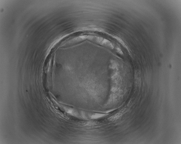 X0000082710879200702091745