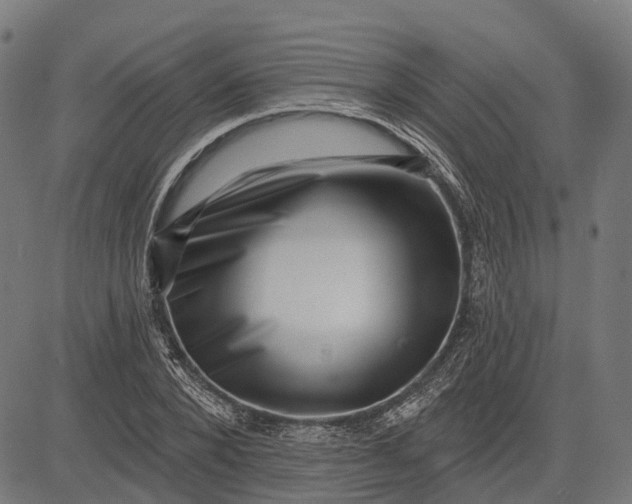 X0000082710880200702091745