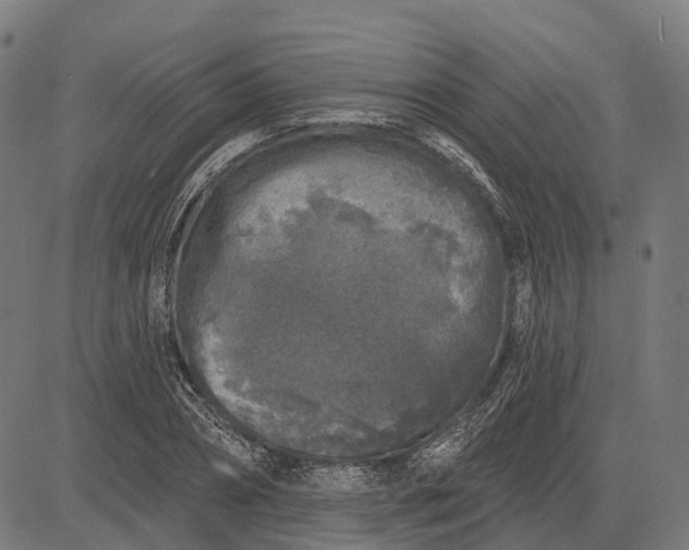 X0000082710882200702091745