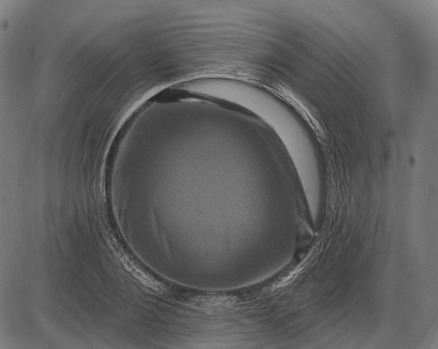 X0000082710884200702091745