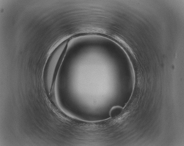 X0000082710885200702091745