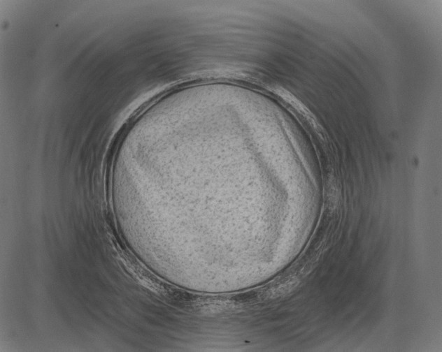 X0000082710886200702091745