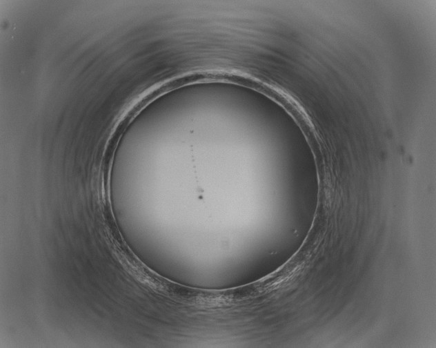 X0000082710887200702091745