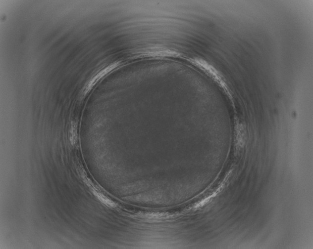 X0000082710889200702091745