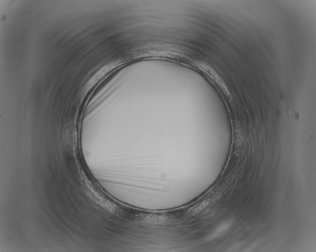 X0000082710890200702091745