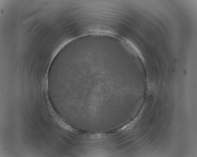 X0000082710891200702091745