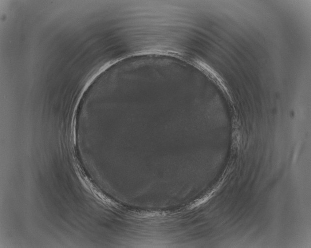 X0000082710892200702091745