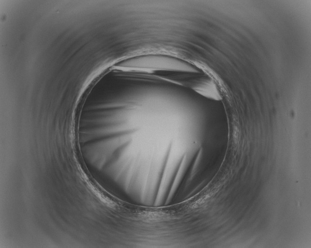 X0000082710894200702091744