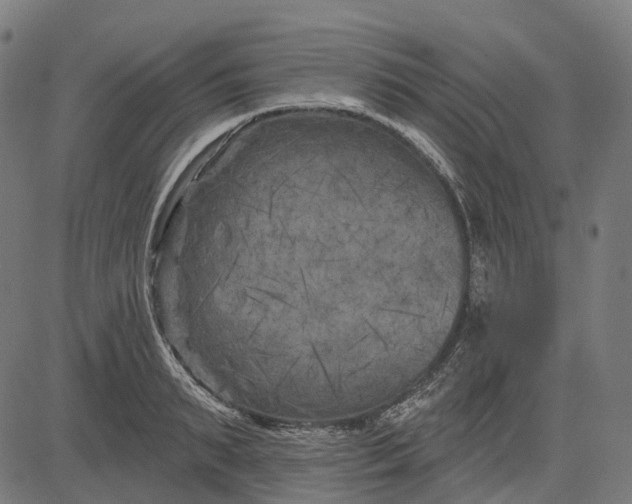 X0000082710895200702091744