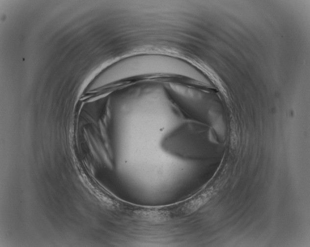 X0000082710896200702091744