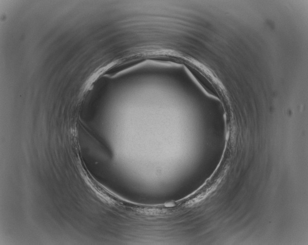 X0000082710897200702091744