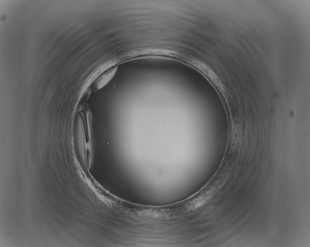 X0000082710898200702091744