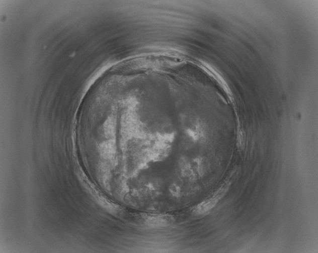 X0000082710899200702091744