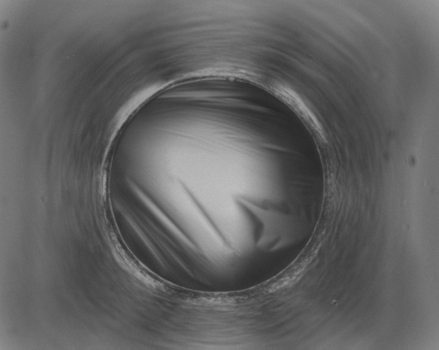 X0000082710900200702091744