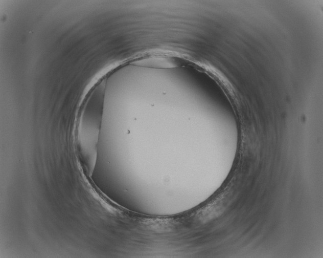 X0000082710902200702091744