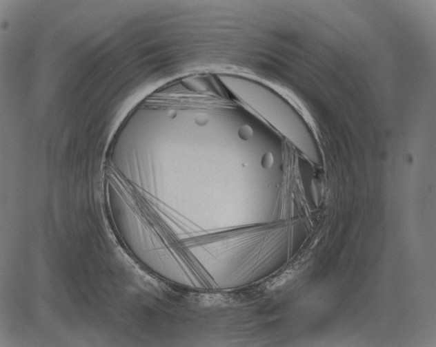 X0000082710903200702091744