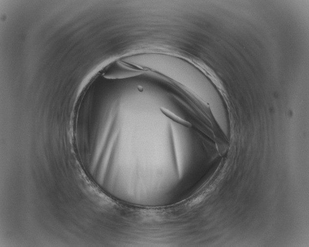 X0000082710904200702091744