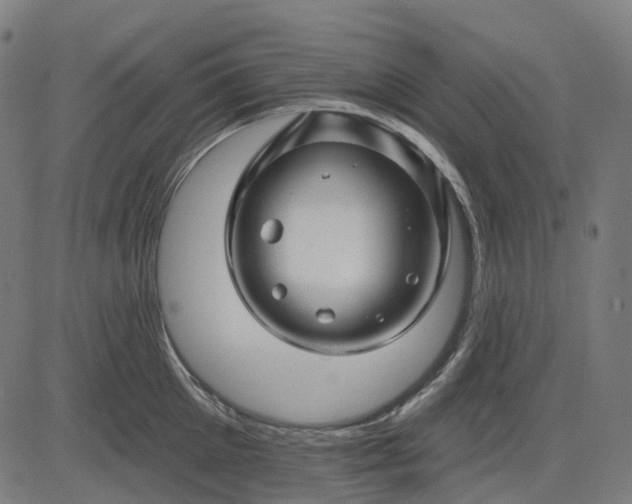 X0000082710905200702091744