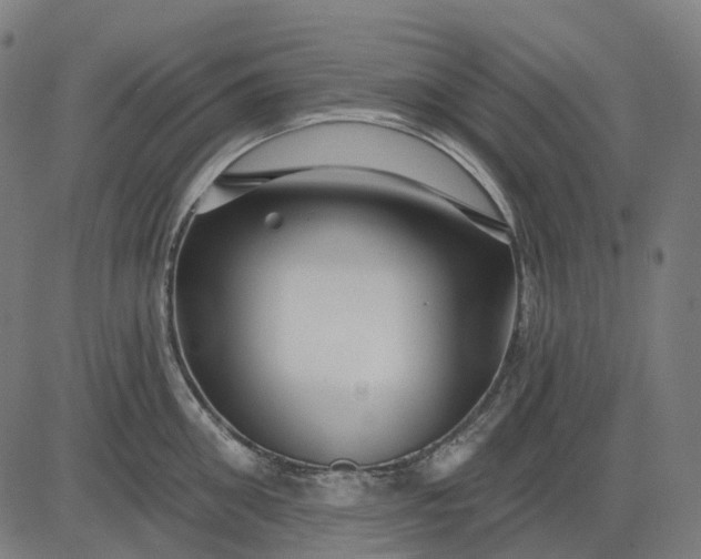 X0000082710906200702091744