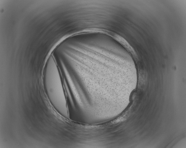 X0000082710908200702091744