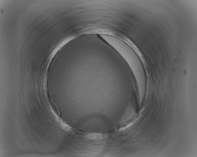 X0000082710909200702091744