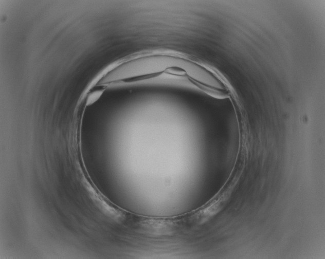 X0000082710910200702091744