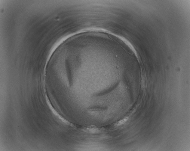 X0000082710911200702091744