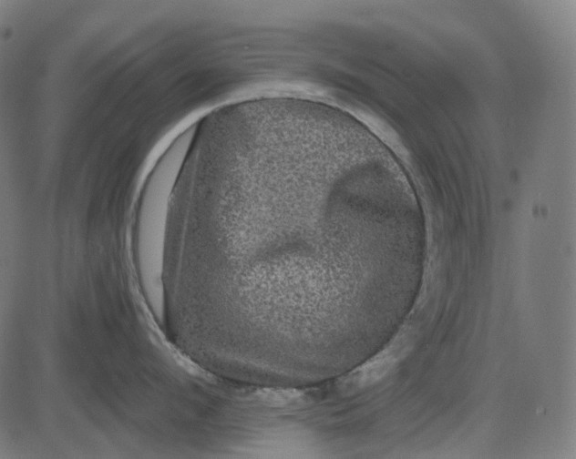 X0000082710912200702091744