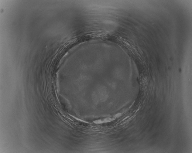 X0000082710913200702091743