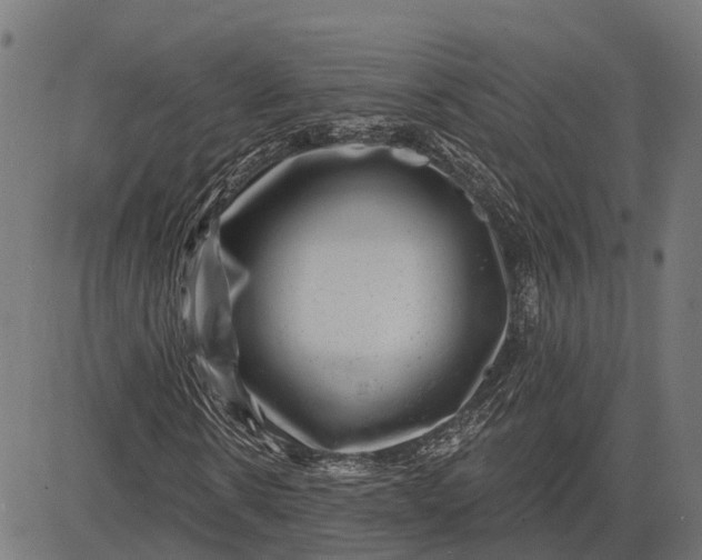 X0000082710914200702091743