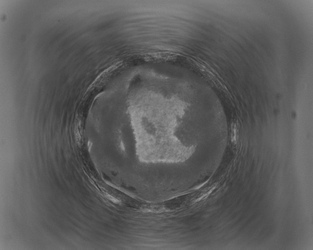 X0000082710915200702091743