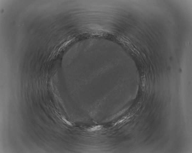 X0000082710916200702091743