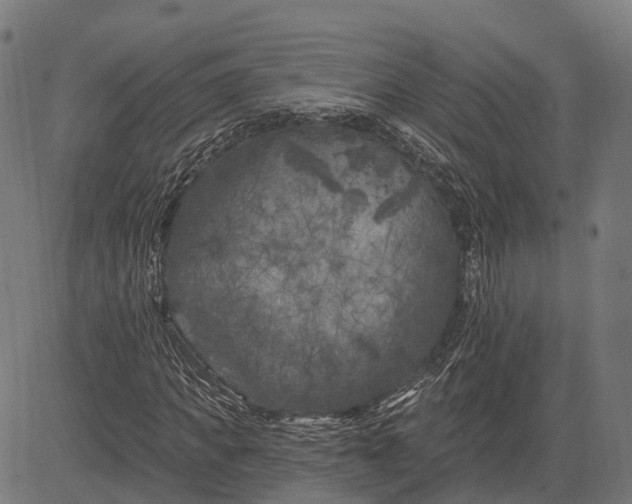 X0000082710917200702091743