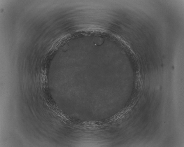 X0000082710918200702091744