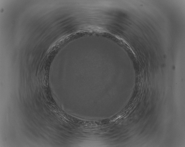 X0000082710919200702091744